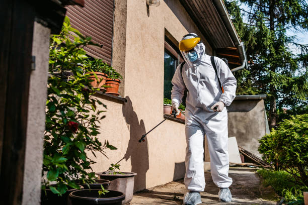 Best Pest Control for Restaurants  in Harper, TX