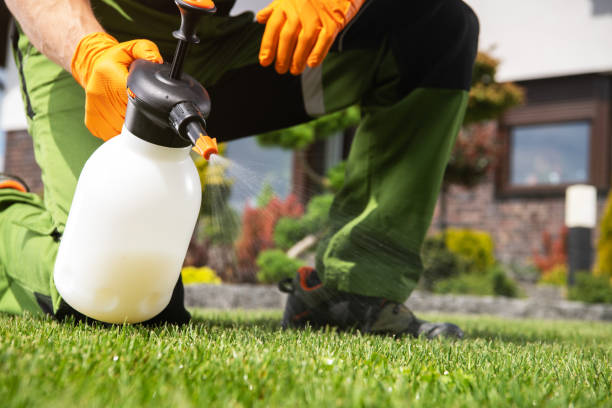 Best Best Pest Control Companies  in Harper, TX