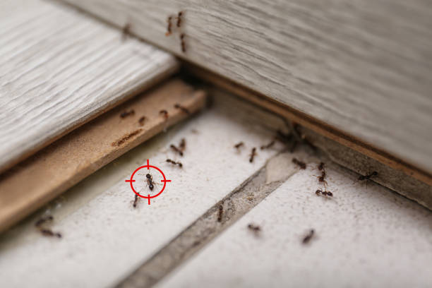 Wildlife Control Services in Harper, TX