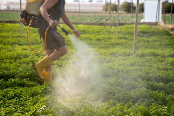 Pest Control for Restaurants in Harper, TX