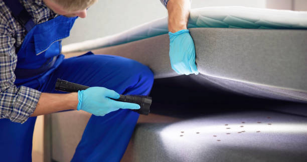 Trusted Harper, TX Pest Control Experts