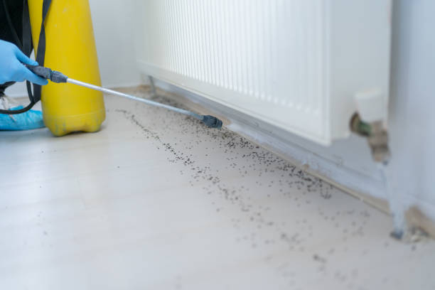 Best Residential Pest Control  in Harper, TX