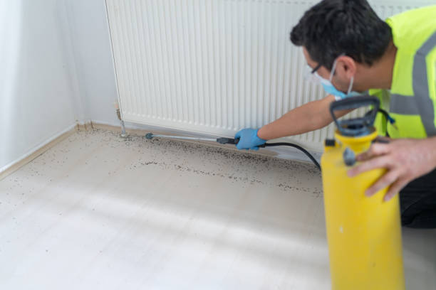 Best Flea Control Services  in Harper, TX