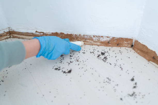 Best Commercial Pest Control Services  in Harper, TX
