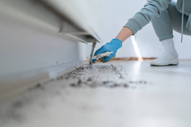 Best Rat Extermination Near Me  in Harper, TX